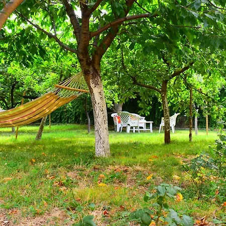 Relax